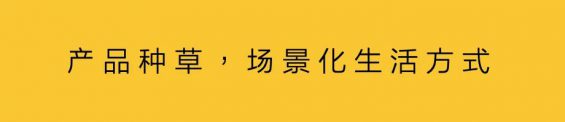 81 小红书产品种草：从筛选，到生长