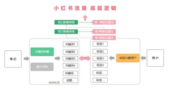 4 小红书推荐流、搜索流、直播流的分发逻辑。