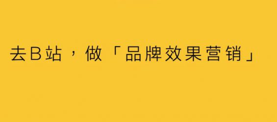 362 去B站，做「品牌效果营销」